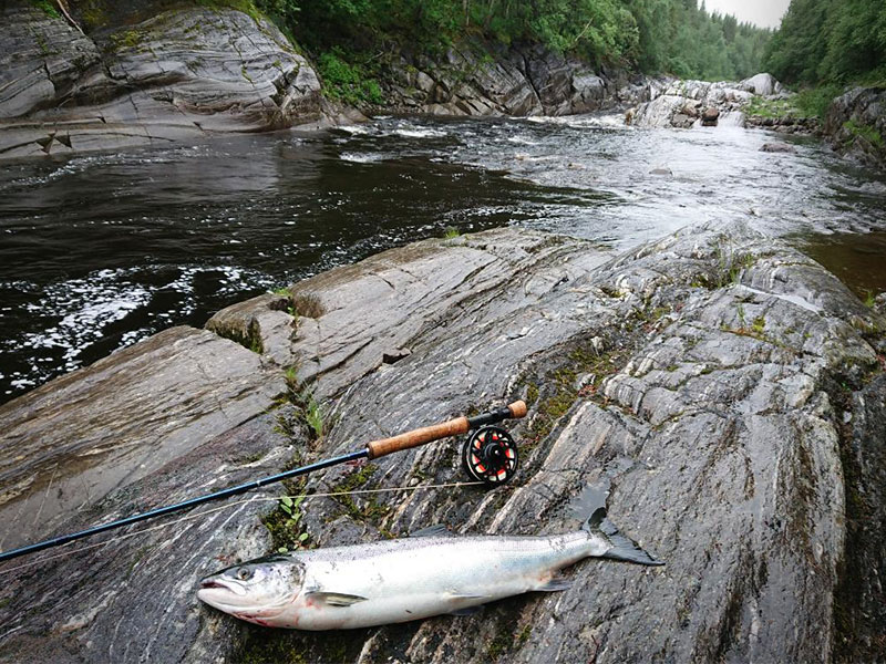 Fishing teaser, fish at a river