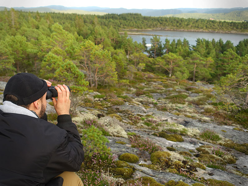 On tour teaser - a boy looks at a forest landscape through binoculars